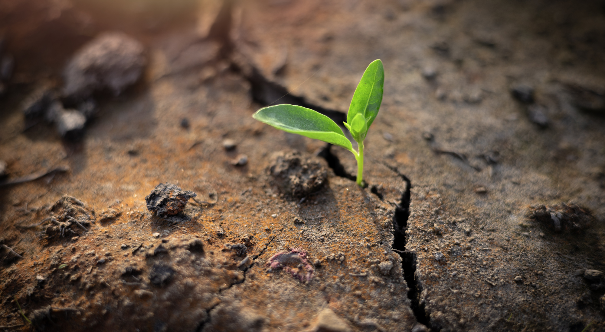 Turning up the heat on climate action Inter-American Court advises on human rights and climate change