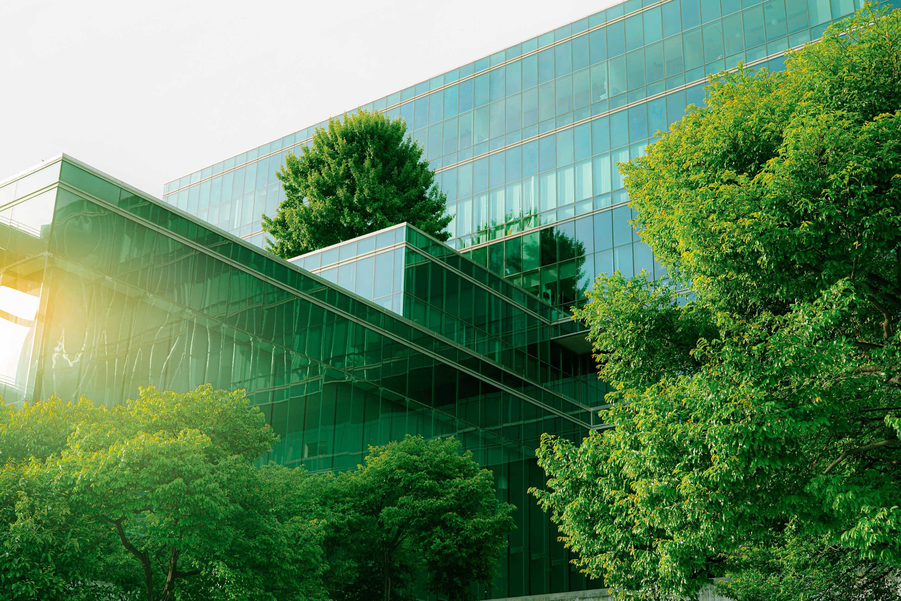 Climate Litigation Green office